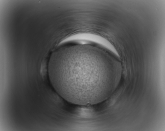 X0000088880466200706151814