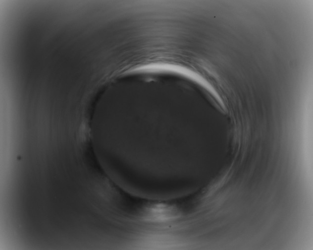 X0000088880467200706151814