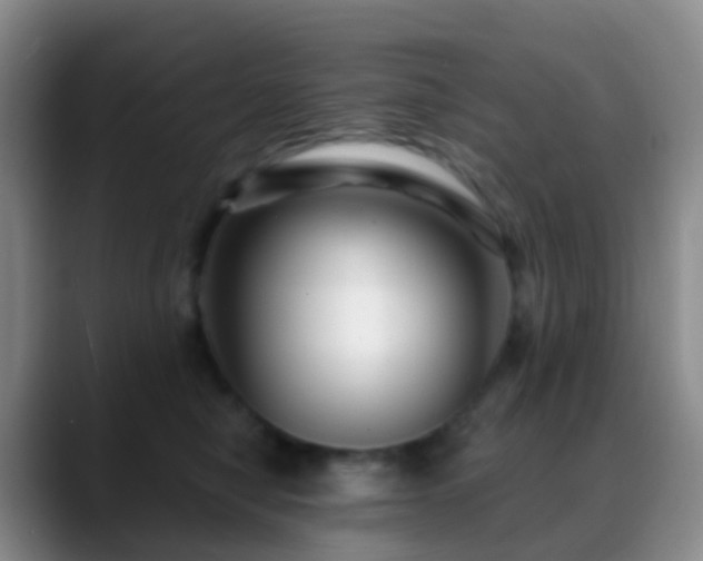 X0000088880470200706151814