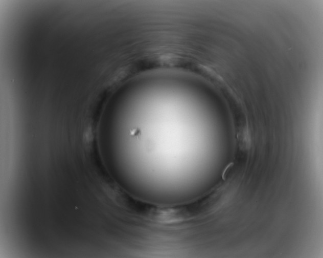 X0000088880472200706151814