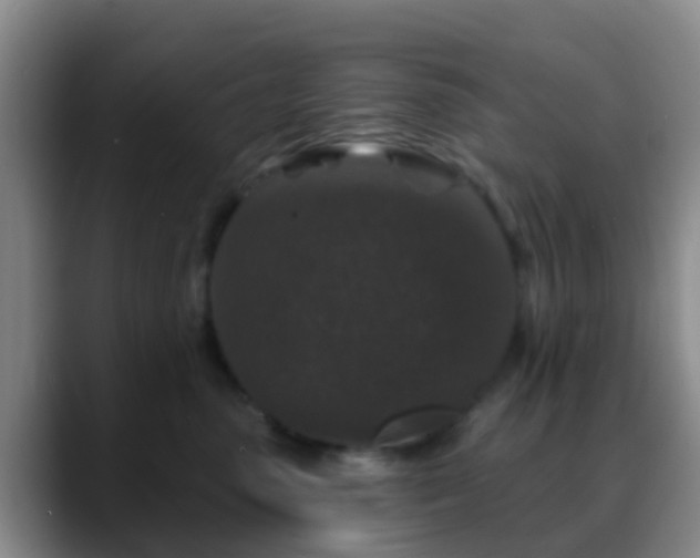 X0000088880475200706151814