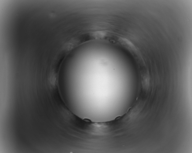 X0000088880477200706151814