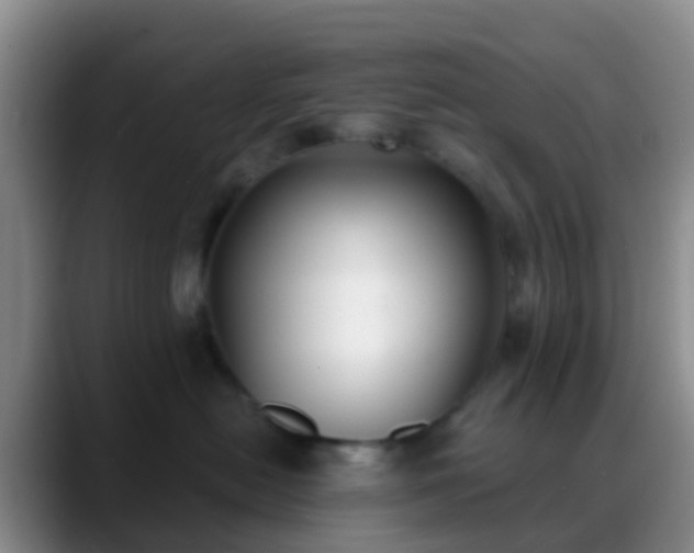 X0000088880478200706151814