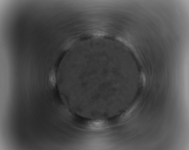 X0000088880479200706151814