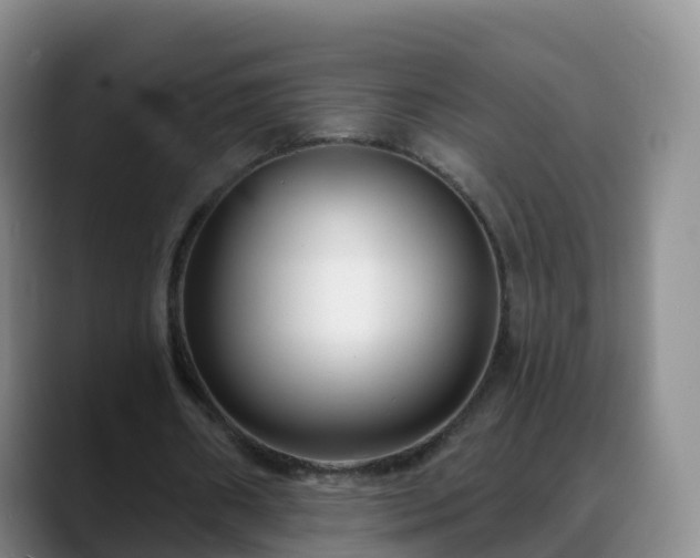 X0000088880482200706151814