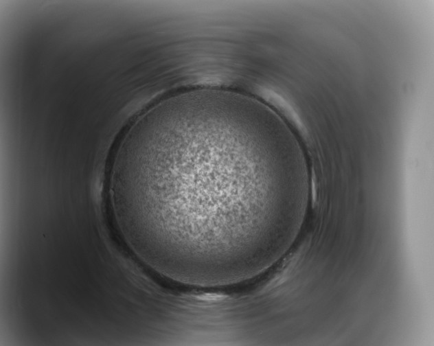 X0000088880483200706151814