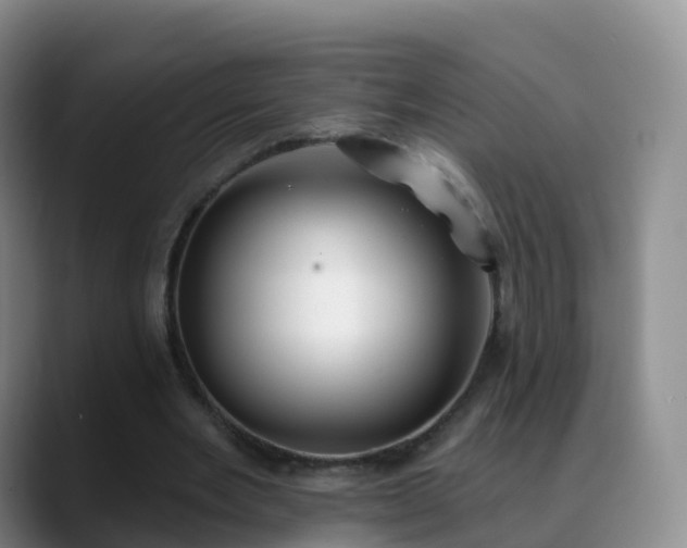 X0000088880485200706151814