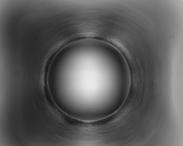 X0000088880486200706151814