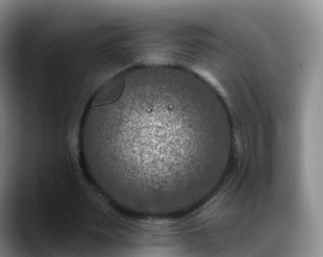 X0000088880487200706151814