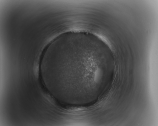 X0000088880488200706151814