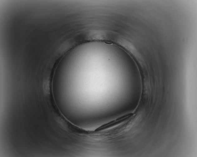 X0000088880489200706151814