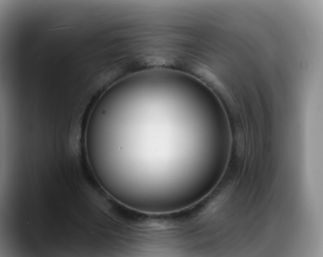 X0000088880490200706151814