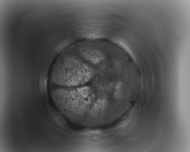 X0000088880491200706151814