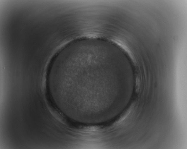 X0000088880492200706151814