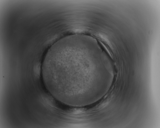 X0000088880495200706151814