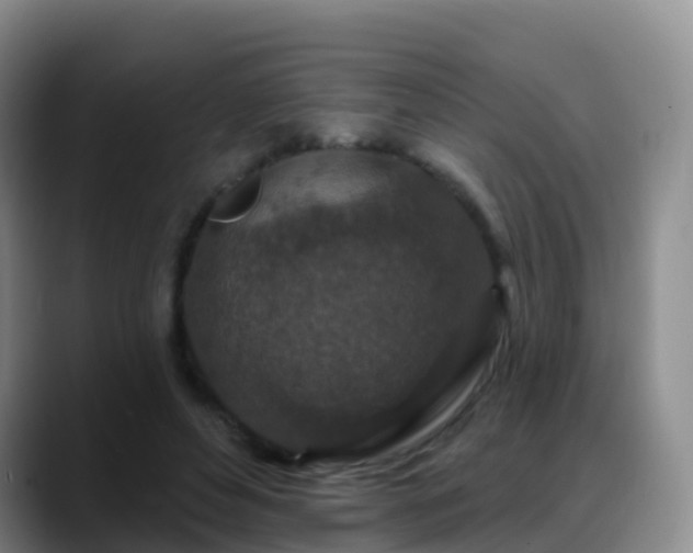 X0000088880496200706151814