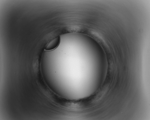 X0000088880498200706151814