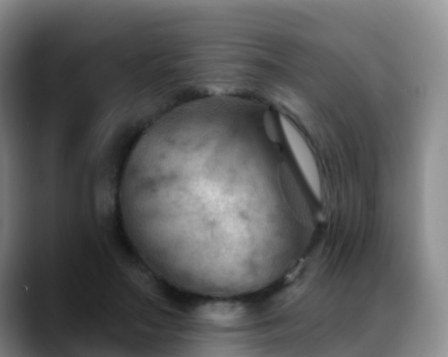 X0000088880499200706151814