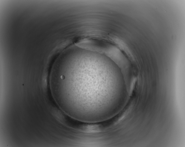 X0000088880501200706151814