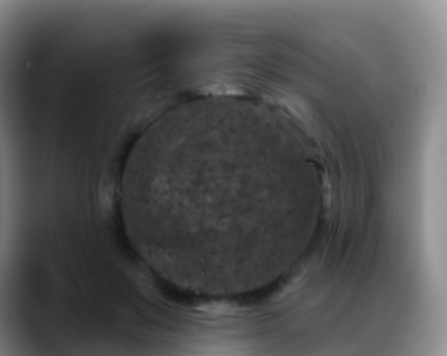 X0000088880503200706151814