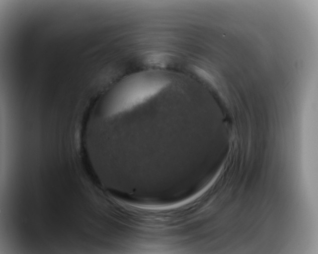 X0000088880504200706151814