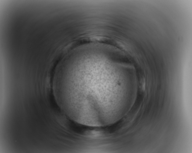 X0000088880506200706151814