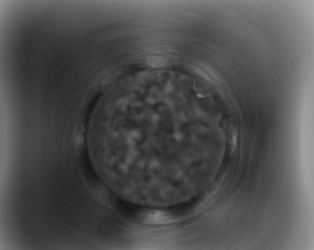 X0000088880507200706151814