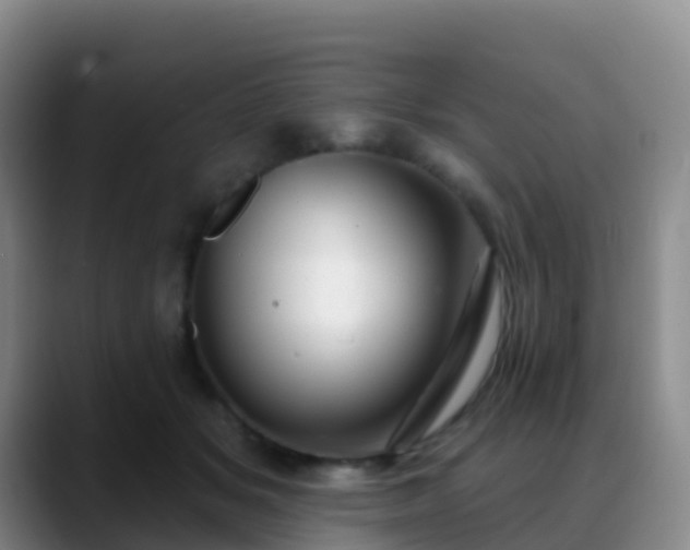 X0000088880509200706151814