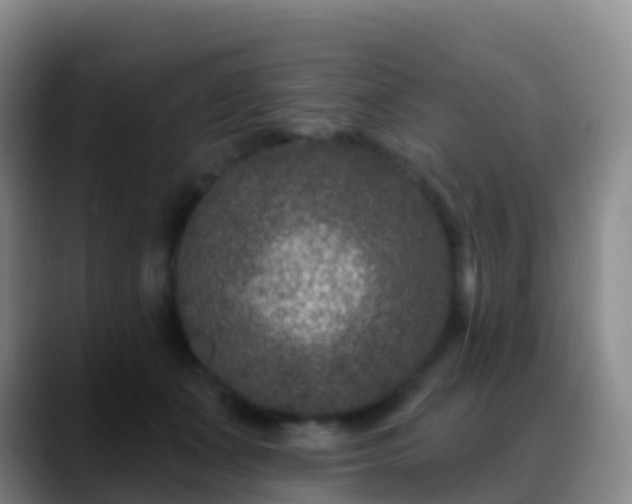 X0000088880511200706151814