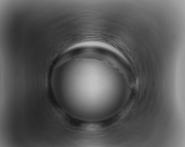 X0000088880512200706151814