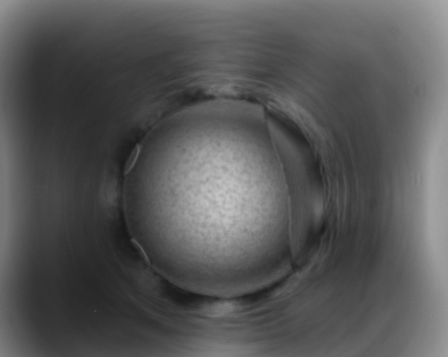 X0000088880513200706151814