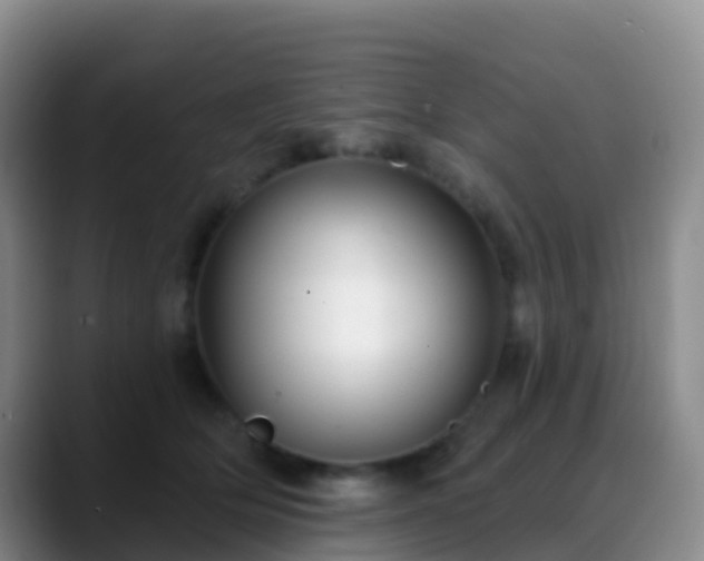 X0000088880514200706151814