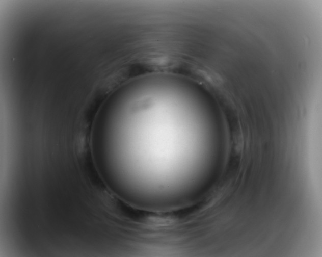 X0000088880515200706151814