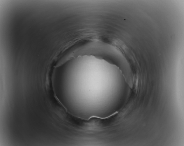 X0000088880516200706151814