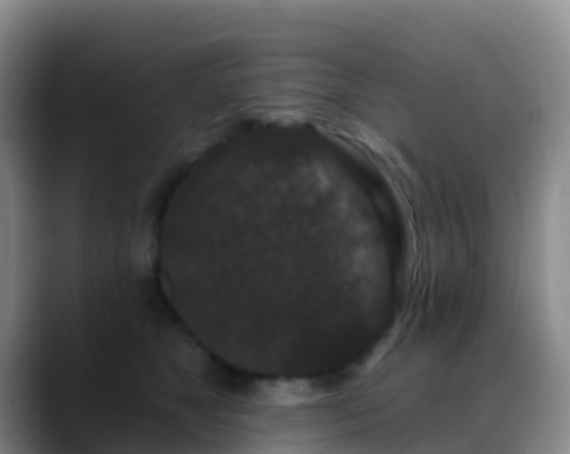 X0000088880517200706151814