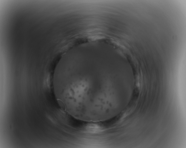 X0000088880519200706151813