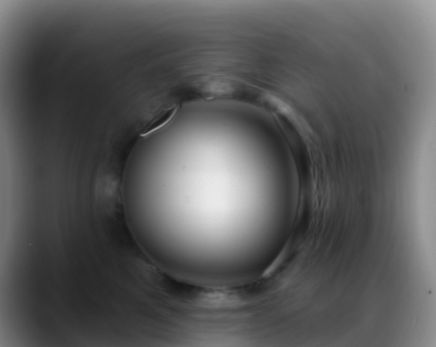 X0000088880521200706151813