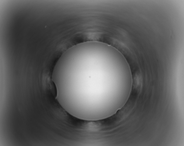 X0000088880522200706151813