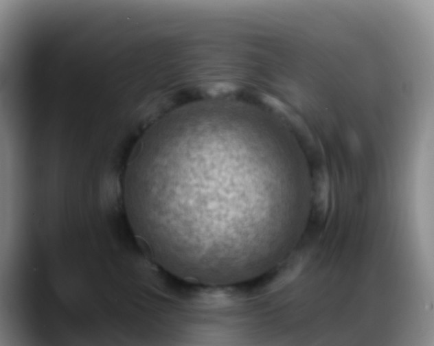 X0000088880523200706151813