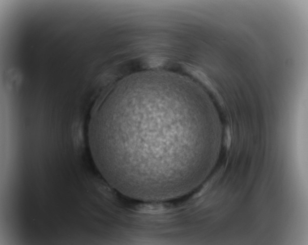 X0000088880524200706151813