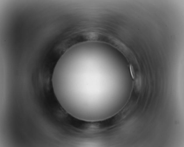 X0000088880525200706151813