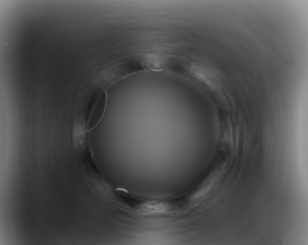 X0000088880526200706151813