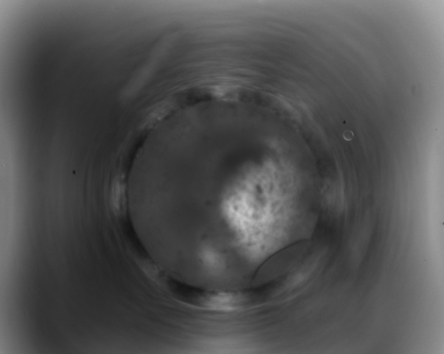 X0000088880527200706151813