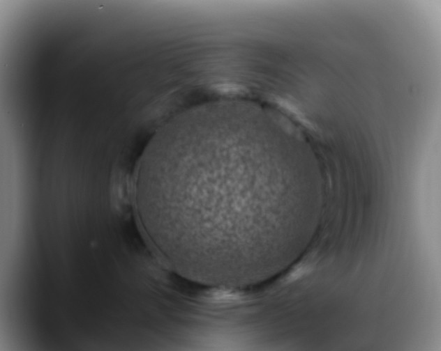 X0000088880528200706151813