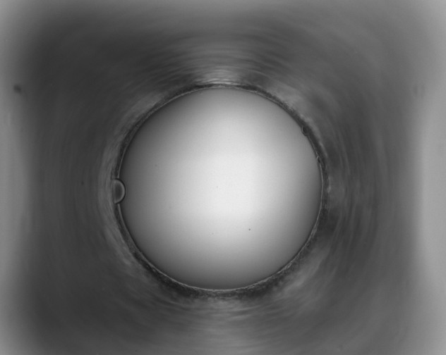 X0000088880529200706151813