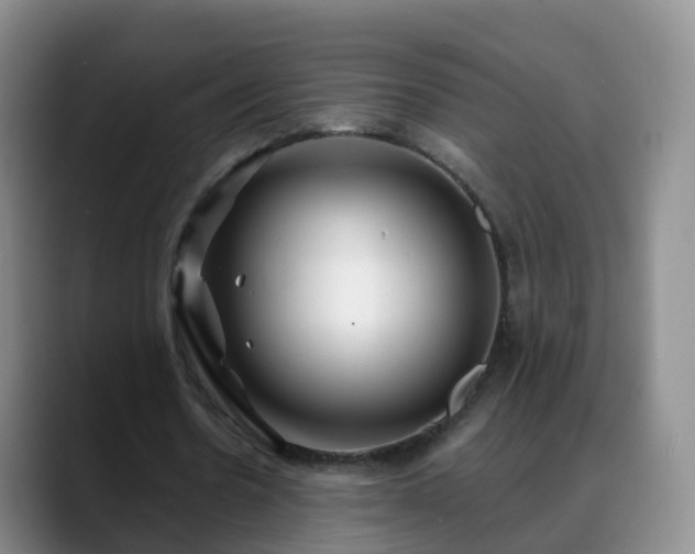 X0000088880530200706151813