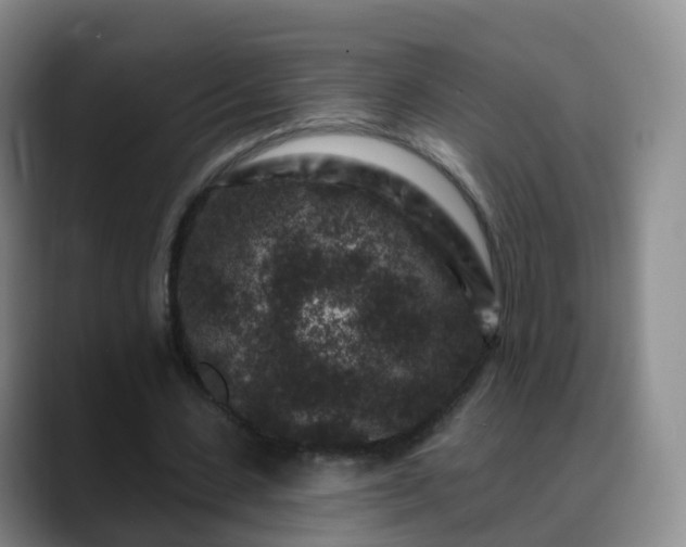 X0000088880531200706151813