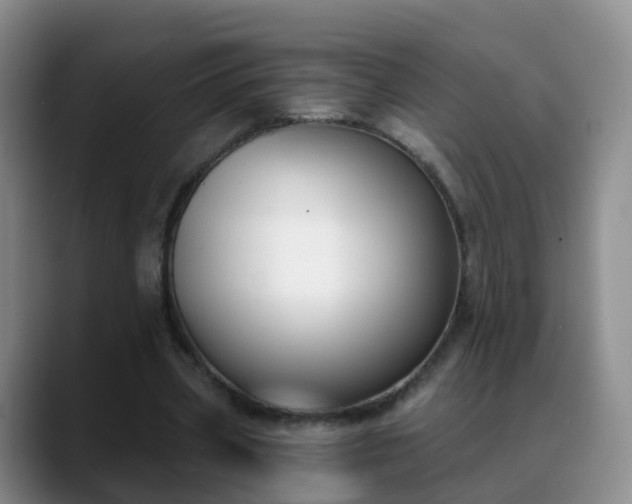 X0000088880533200706151813