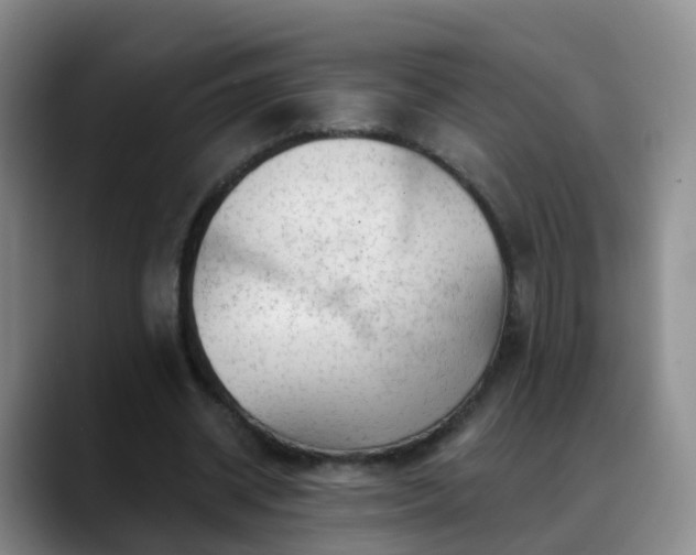 X0000088880534200706151813