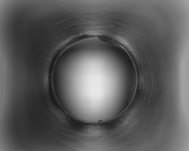 X0000088880535200706151813